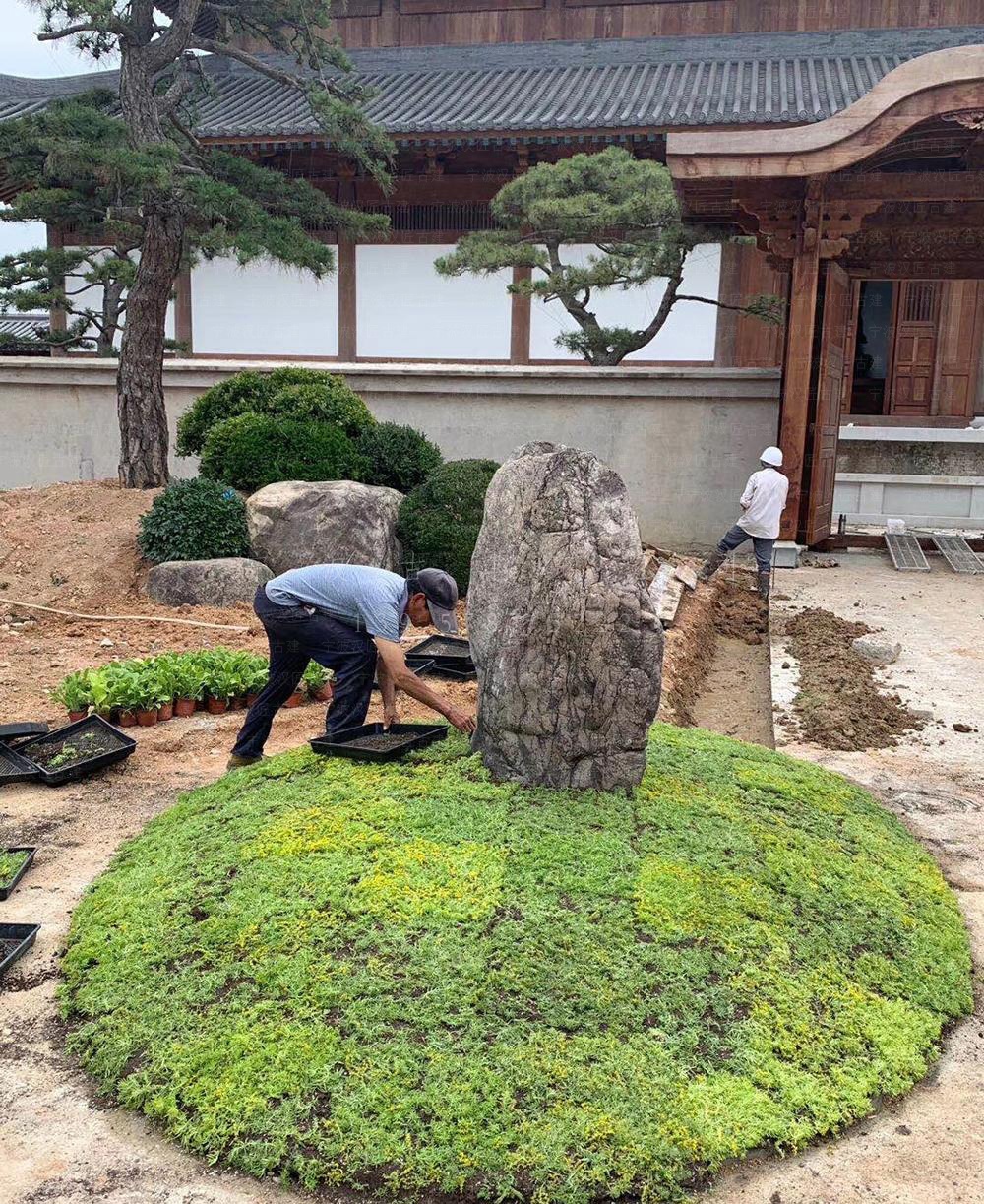 昆山古建筑设计，昆山寺院改造规划与工程施工服务